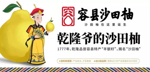 夢(mèng)回唐朝楊貴妃，沙田有柚震乾隆——廣西旅游年卡與旅發(fā)旅行社集團(tuán)攜手共譜文化之旅